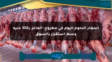 أسعار اللحوم اليوم في مطروح: الماعز بـ350 جنيه وسط استقرار بالسوق